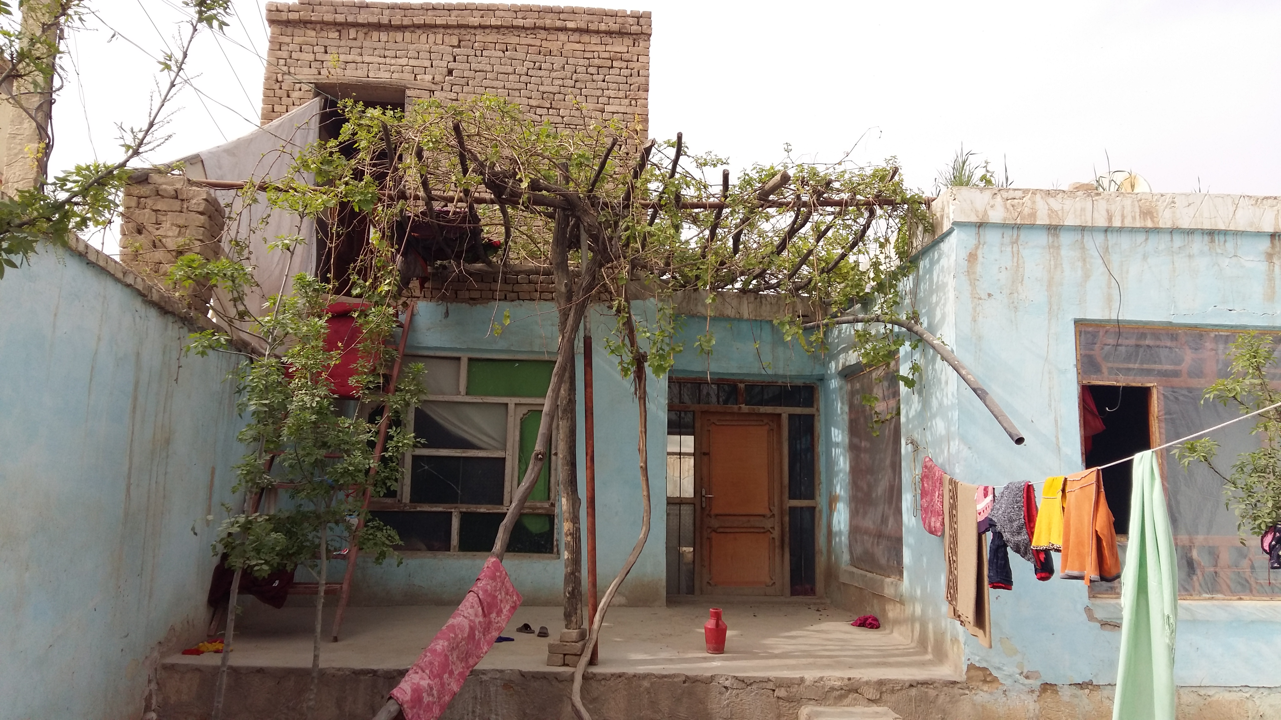 تصویر نمایش داده نشد